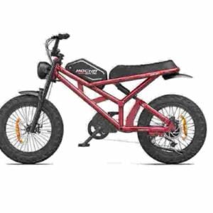 Лучший канадский поставщик Ebike с толстыми шинами