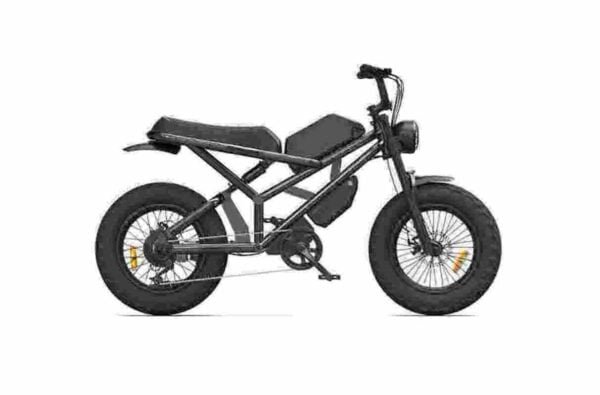 Поставщик велосипедов с толстыми шинами Ebike