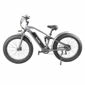 Поставщик шин Ebike Fat Tire