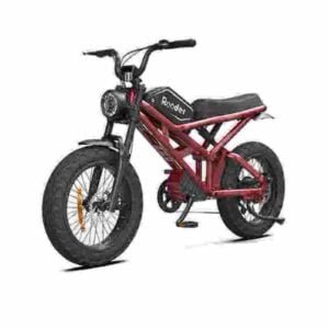 Поставщик складных электрических велосипедов Ebike