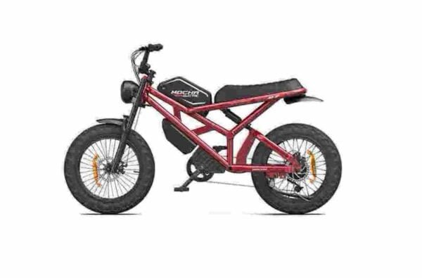 Электрические велосипеды Поставщик велосипедов Ebike